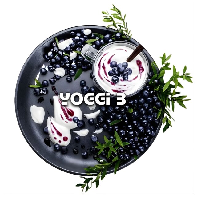 BlackBurn Dark Blend Shisha Tabak 100g - Yoggie B