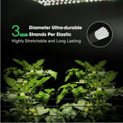 Vivosun Trellis Netz 60x60 cm