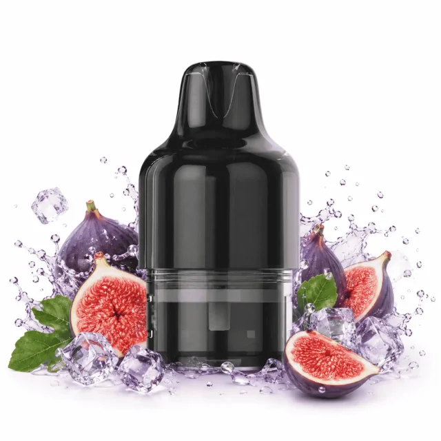 MegaBar GT 22000 Pod 10ml - Fig
